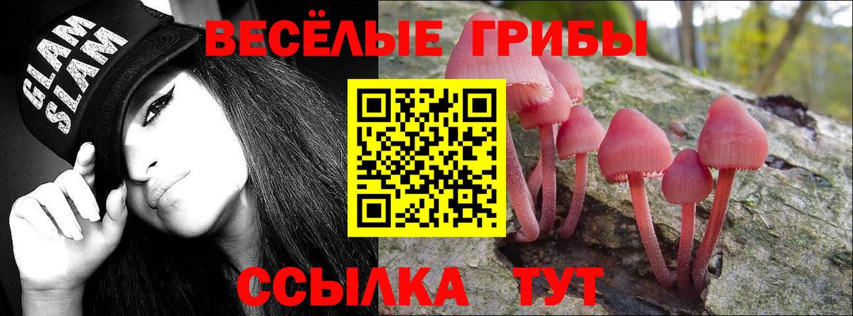 Псилоцибиновые грибы мухоморы  Вход с VPN  Избербаш 